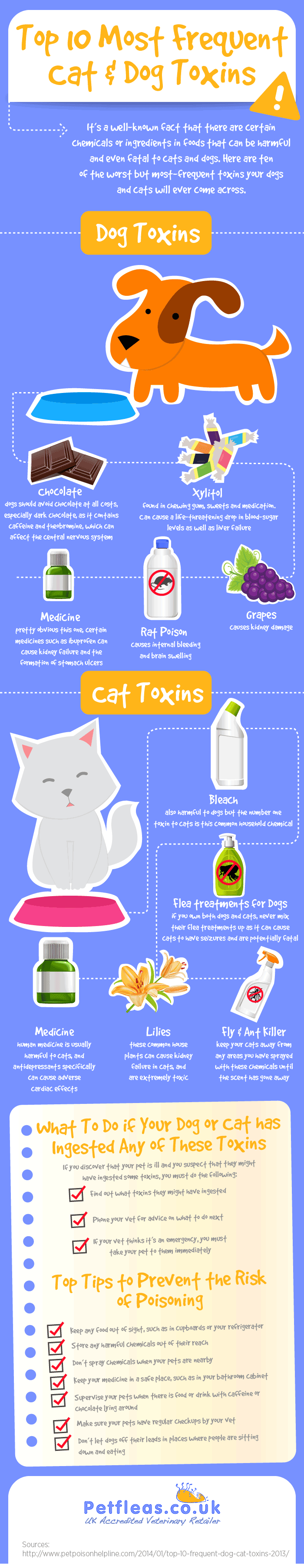 Top 10 Most Frequent Cat and Dog Toxins